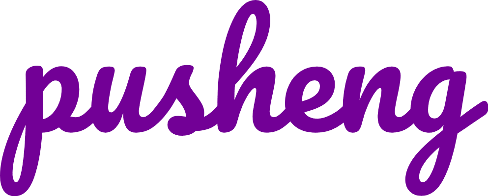 pushengtoy.com